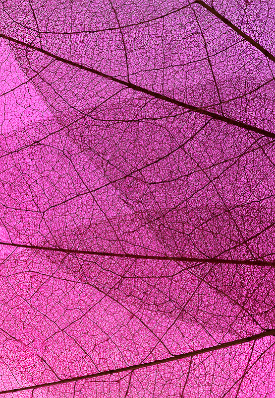 ai generated image