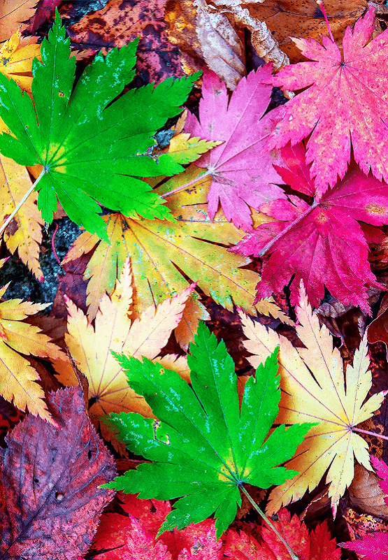 ai generated image