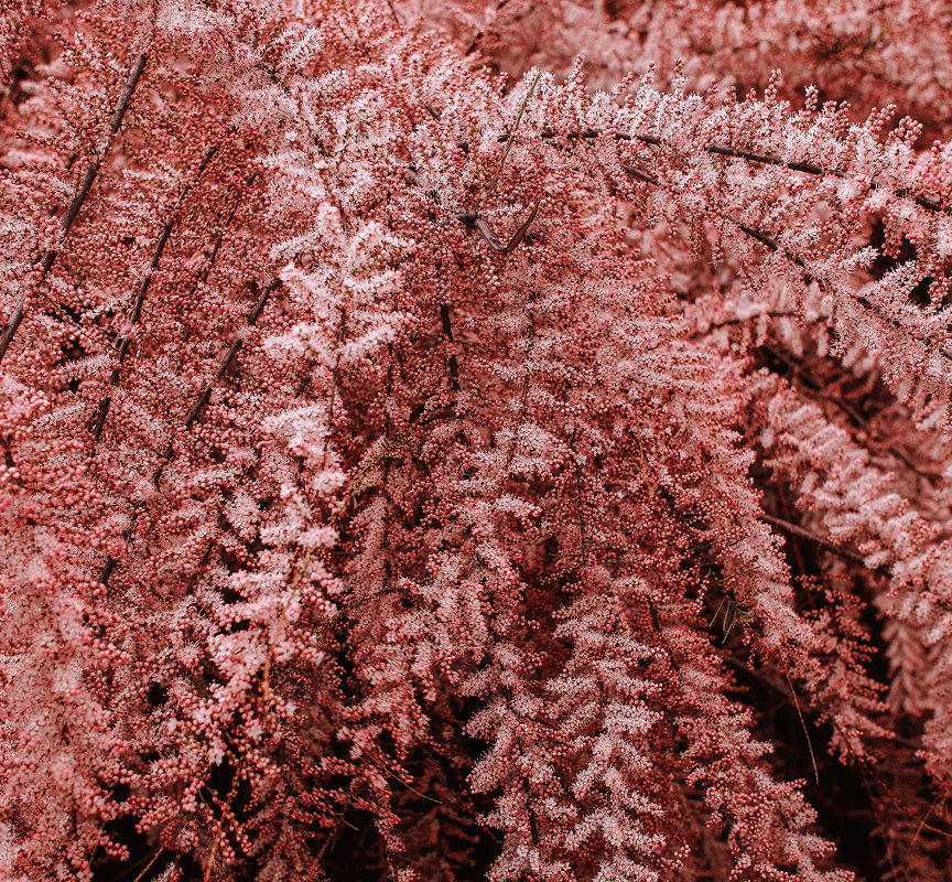 ai generated image