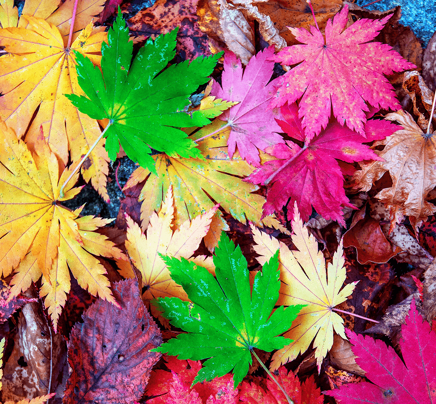 ai generated image